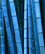 blue bamboo